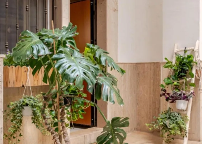 Apartamento Lullaby Bari